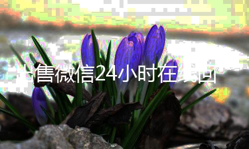出售微信24小时在线vx回收秒结回收（出售微信24小时在线回收联系方式）