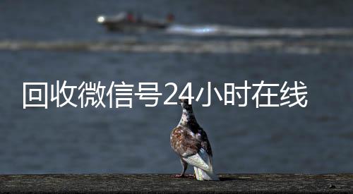 回收微信号24小诚信收微信秒结时在线秒结（回收微信号网站）