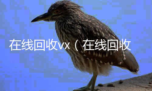 在线回收v回收满月微信号秒结x（在线回收号价格）