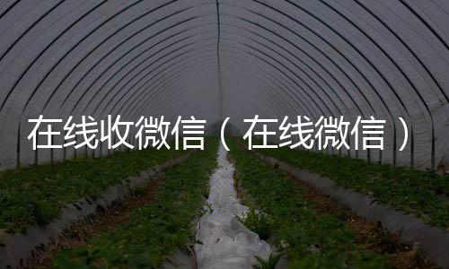 在线收微高于市场价的高价收购微信号平台信（在线微信）