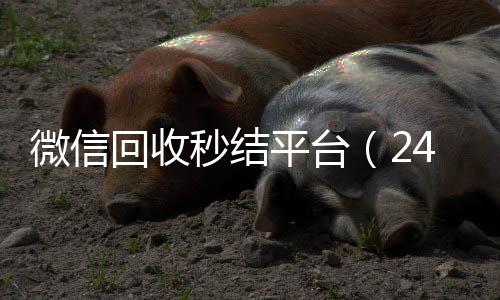 微信回收秒结平台怎么选择回收微信的秒结平台（24小时回收微信秒结平台）