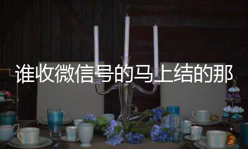 谁收微信号的马上结的秒结款微信回收平台那种（收微信号平台 价格高 结账快）