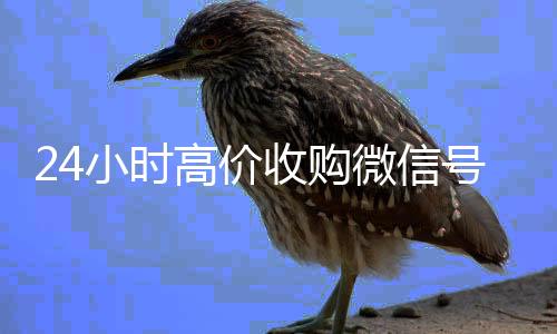 24小时高价收购微信微信回收正规官网平台号（大量收购微信号需要的加我微信即可）
