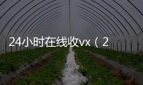 24小时在线收v正规微信号购买网x（24小时在线收微信秒结平台）